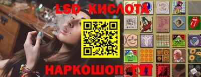 индика Можга