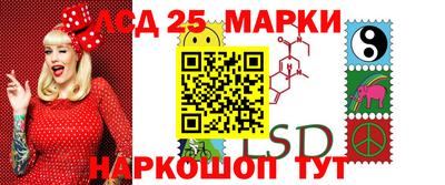 индика Можга