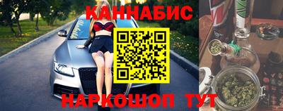 индика Можга