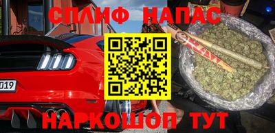 индика Можга