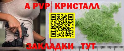 индика Можга