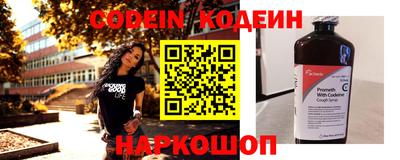 индика Можга