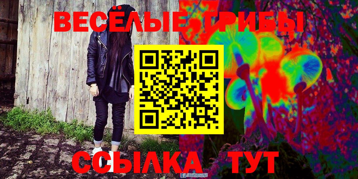 Псилоцибиновые грибы мухоморы  Вход с VPN  Троицк 